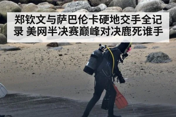 郑钦文与萨巴伦卡硬地交手全记录 美网半决赛巅峰对决鹿死谁手