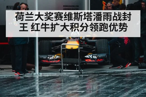 Max Verstappen Red Bull racing wet track