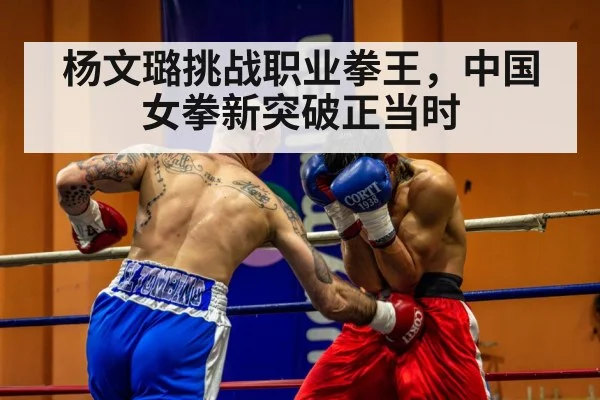 professional boxing match